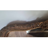 Grand miroir Louis Philippe ancien 163 x 90