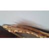 Miroir ancien avec fronton 125 x 84