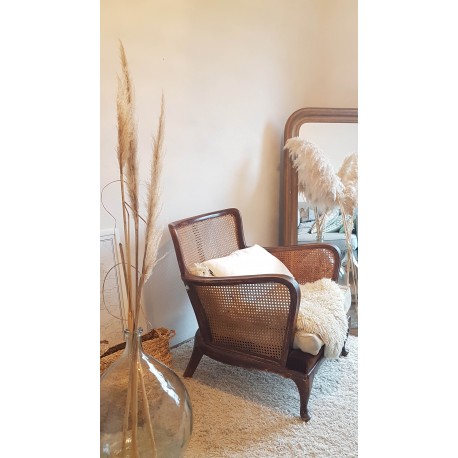Fauteuil canné Steiner vintage